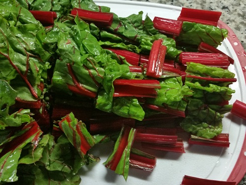 bunch of red swiss chard