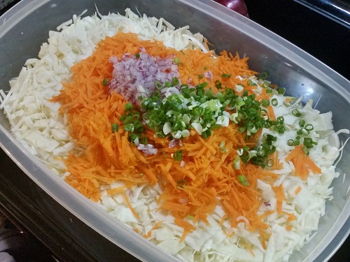 AIP Coleslaw recipe