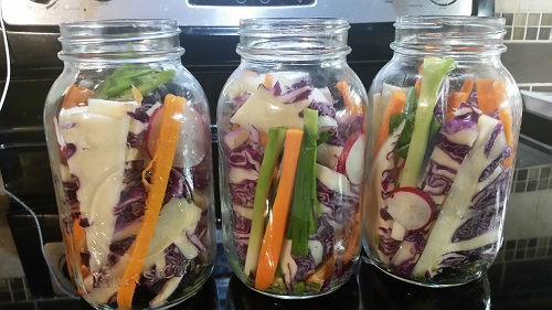 fermented cabbage core pickles