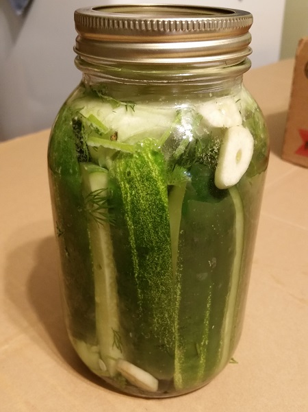 Fermented cucumber pickles