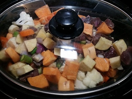 Slow cooker stew before