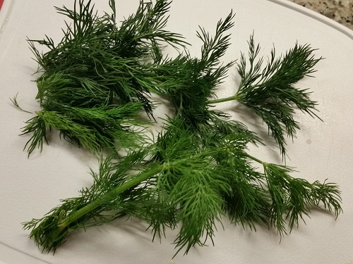 chop fresh dill