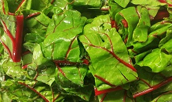 Swiss Chard with apple cider vinegar